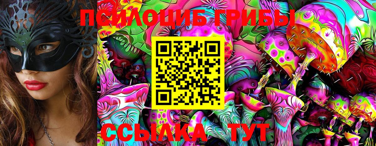 Галлюциногенные грибы Psilocybine cubensis  Вход с VPN  Кушва 