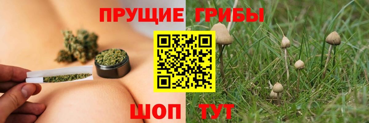 Галлюциногенные грибы мицелий Кушва